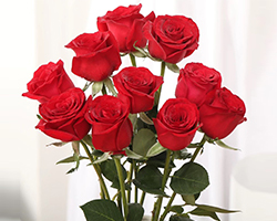 玫瑰花鮮花台灣基地直髮家用插花卉盆栽鮮切花多头荔枝玫瑰四季開花濃香老樁綠植物