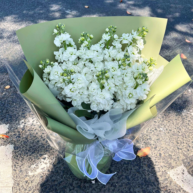 【沉魚落雁】台灣同城配送紫羅蘭花束成人畢業禮鮮花生日花束送女士媽媽白羅蘭玫瑰混搭花束