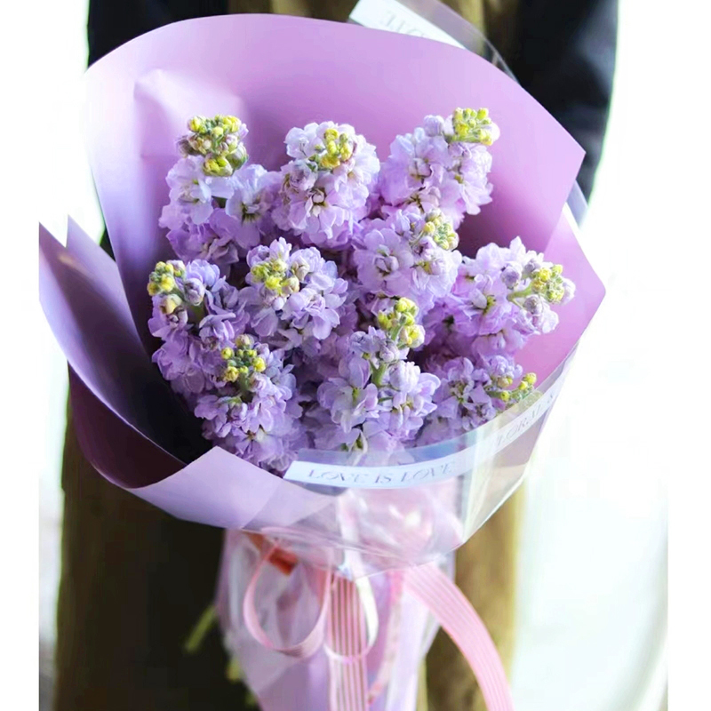 【沉魚落雁】台灣同城配送紫羅蘭花束成人畢業禮鮮花生日花束送女士媽媽白羅蘭玫瑰混搭花束