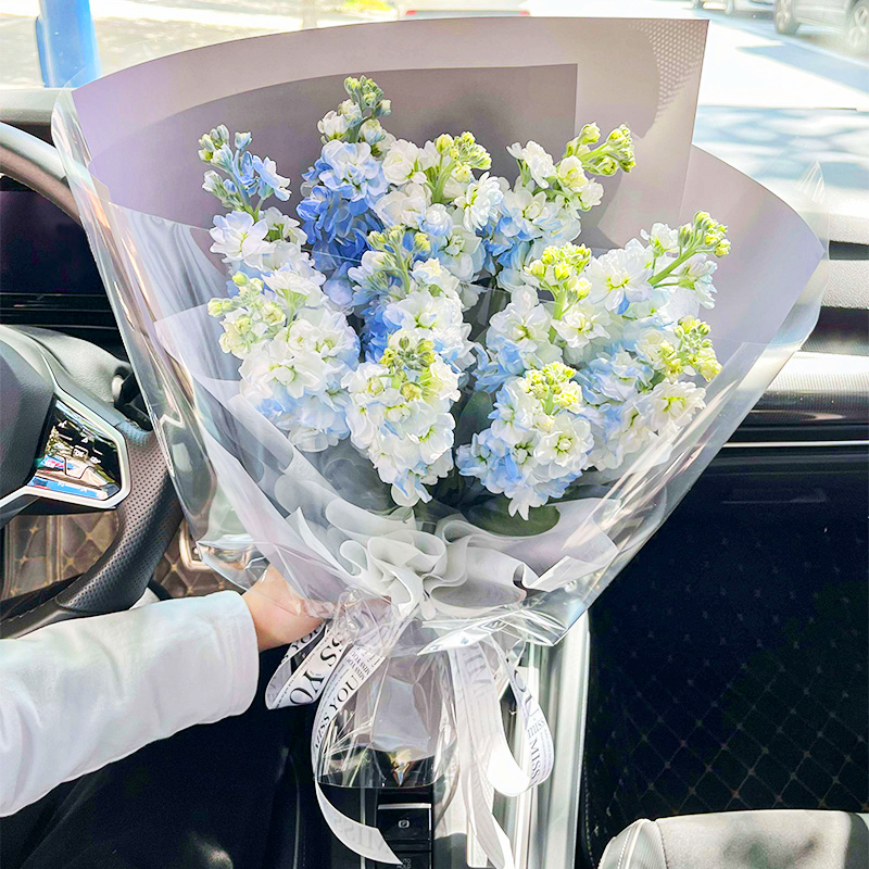 【沉魚落雁】台灣同城配送紫羅蘭花束成人畢業禮鮮花生日花束送女士媽媽白羅蘭玫瑰混搭花束