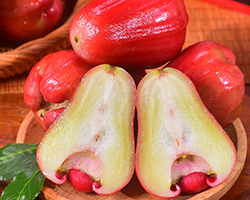 台灣同城配送台灣蓮霧新鮮樹上熟現摘應季當季熱帶水果孕婦低糖水果 精選大果送老人年貨禮物