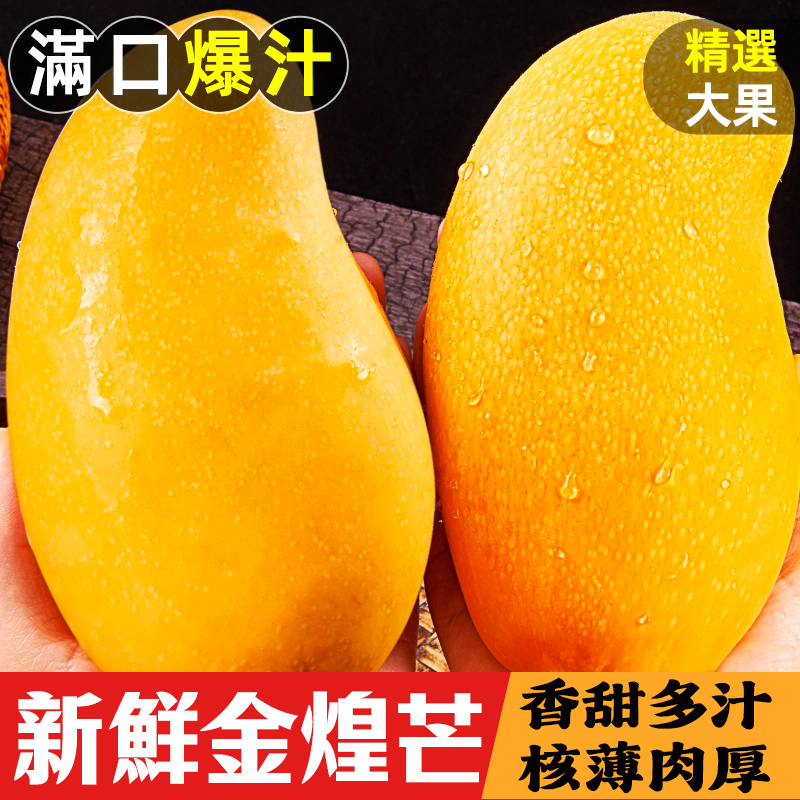 台灣同城配送台灣金煌芒特大金煌芒果新鮮水果當季現摘青甜心芒水仙芒大果單果400g-600g熱帶水果孕婦水果