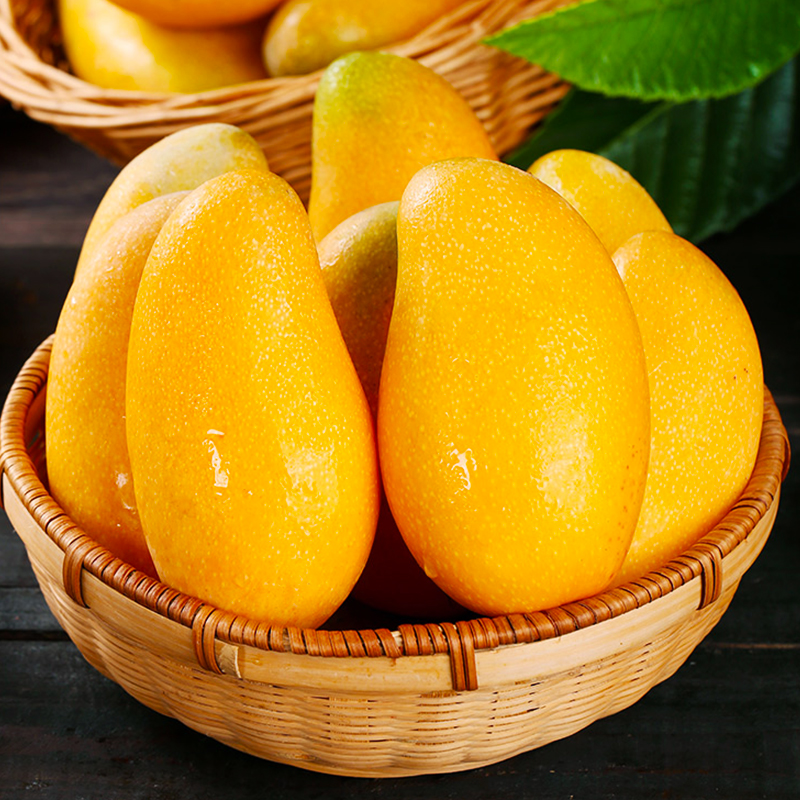 台灣同城配送台灣金煌芒特大金煌芒果新鮮水果當季現摘青甜心芒水仙芒大果單果400g-600g熱帶水果孕婦水果