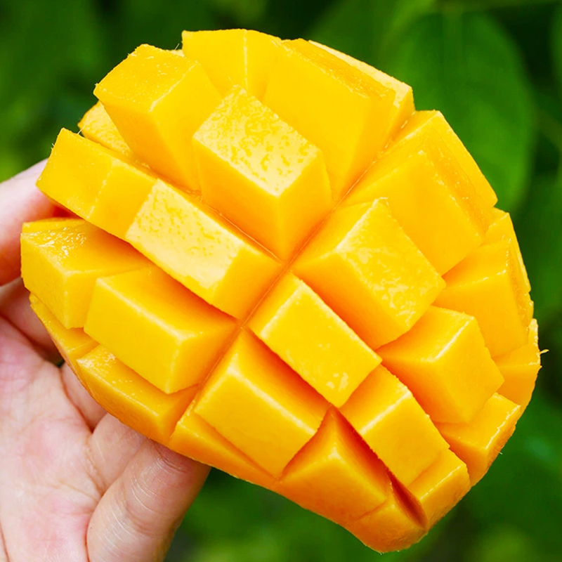 台灣同城配送台灣金煌芒特大金煌芒果新鮮水果當季現摘青甜心芒水仙芒大果單果400g-600g熱帶水果孕婦水果