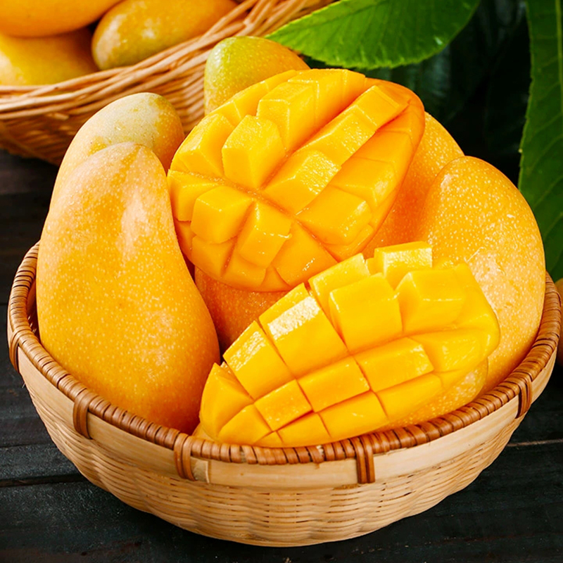 台灣同城配送台灣金煌芒特大金煌芒果新鮮水果當季現摘青甜心芒水仙芒大果單果400g-600g熱帶水果孕婦水果