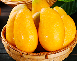 台灣同城配送台灣金煌芒特大金煌芒果新鮮水果當季現摘青甜心芒水仙芒大果單果400g-600g熱帶水果孕婦水果