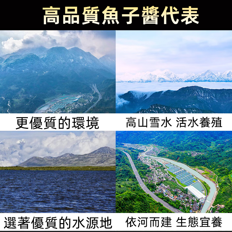 芙思塔HUSO DAURICUS魚子醬10g高品質魚籽醬開蓋即食台灣同城配送