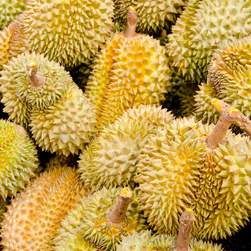 台灣同城配送泰國越南進口金枕頭榴蓮新鮮果整箱長柄榴蓮金枕頭進口A果整個帶殼熱帶水果 